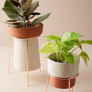 Tripod Plant Stand