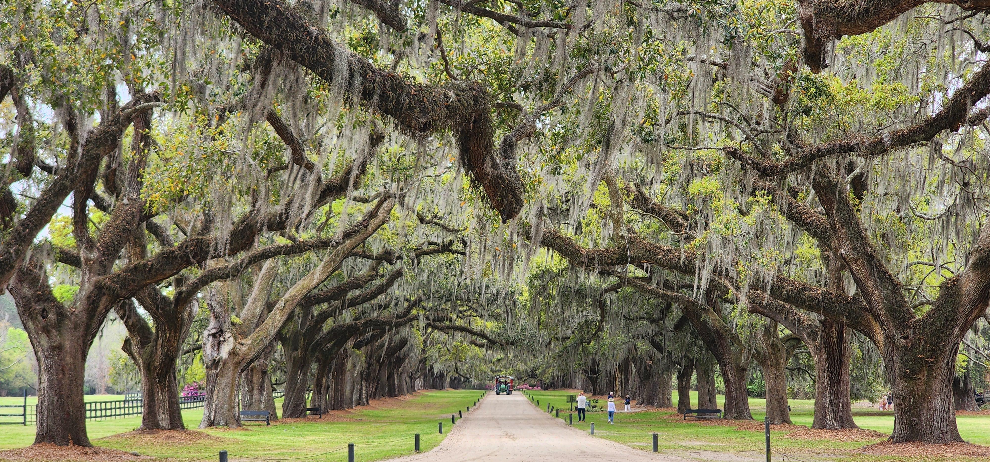 The Wedding Website of Kaitlin Robinson and Jordan Gardner