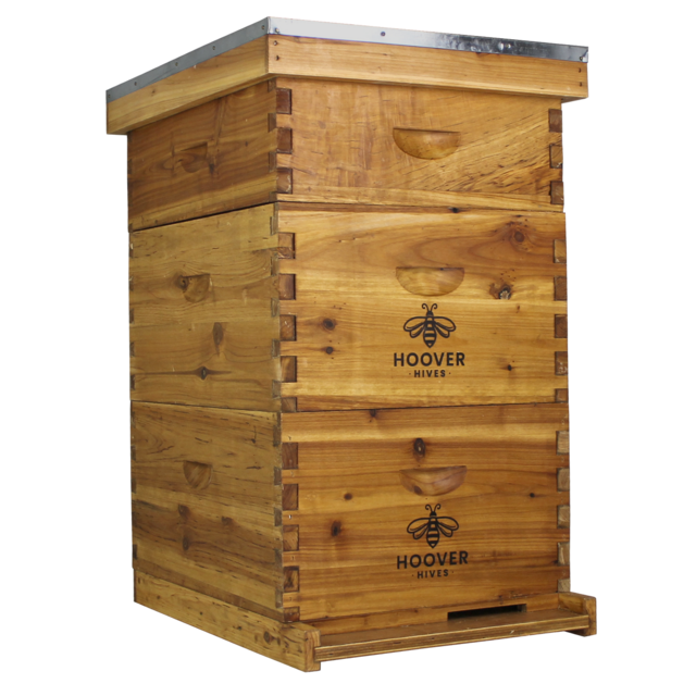 10 Frame Beehive Kit (2 Deeps & 1 Super)
