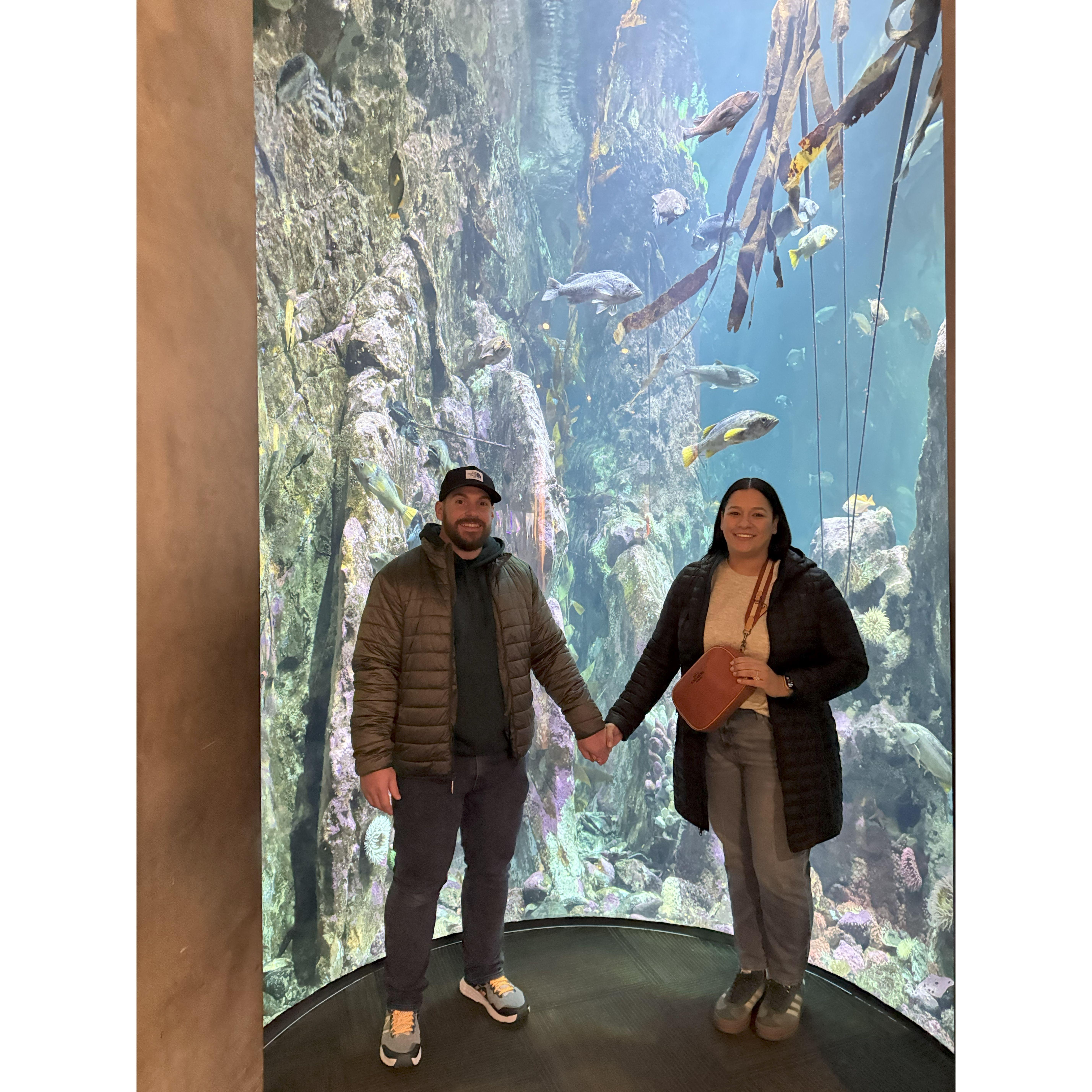 A visit to the Seattle Aquarium.