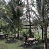D Alas Restaurant