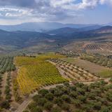 Lyrarakis Winery & Tasting Room