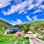 Mt. Olive Organic Farm
