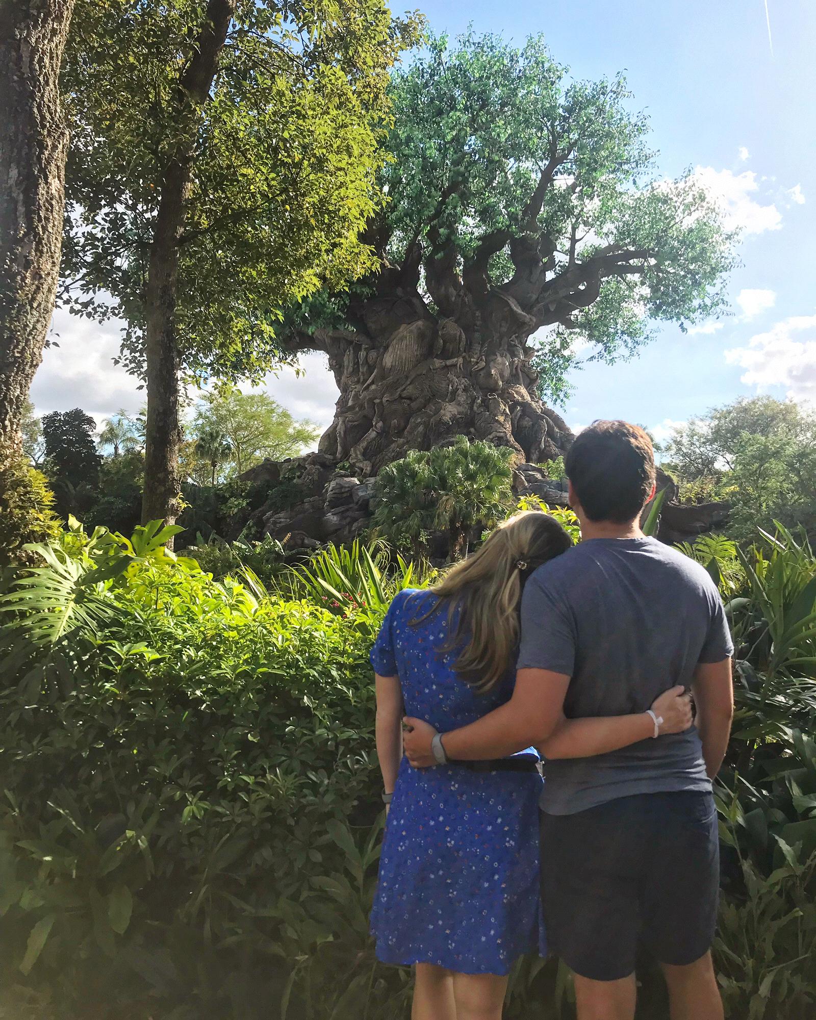 Disney 2018