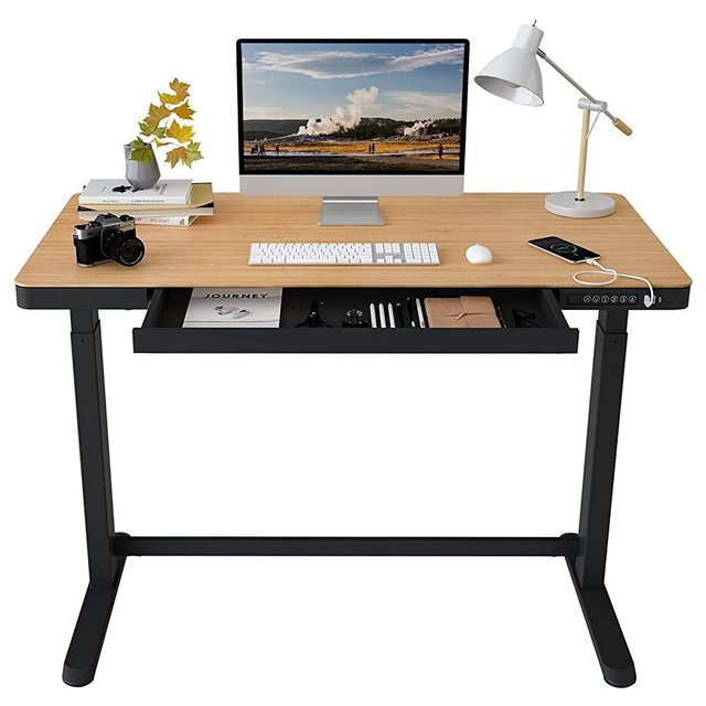 FLEXISPOT EB8 Standing Desk with Drawers Electric Sit Stand up Desk with Storage 48 x 24 Inches Bamboo Texture Desktop and Height Adjustable Black Frame (USB Charge Ports, Child Lock)