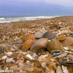 Vilano Beach