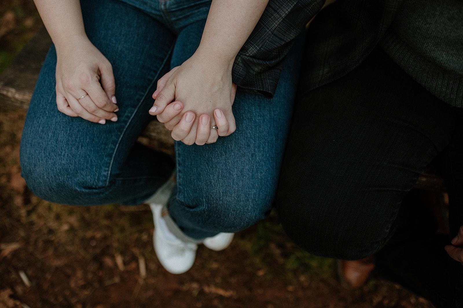 The Wedding Website of Gayle Schwartzberg and Elaine Atwell