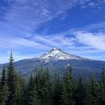 Hiking (Mt. Hood National Forest)