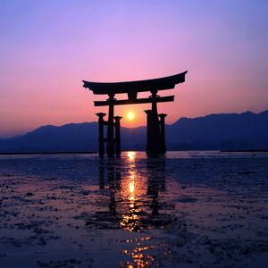 Our Japan Honeymoon Fund