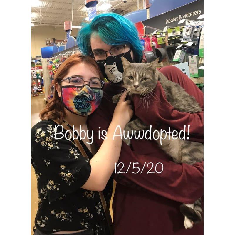 This was when we adopted our cat Bender