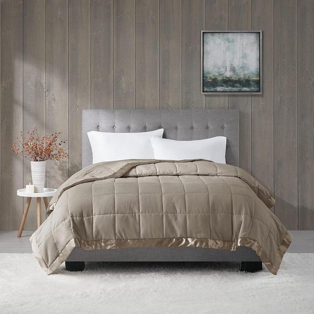 Madison Park Windom Down Alternative Blanket, Premium 3M Scotchgard Moisture Wicking Treatment, Lightweight and Soft Bed Cover For All Season, Satin Trim, Brown King