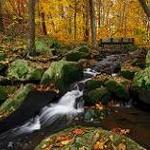 Hacklebarney State Park