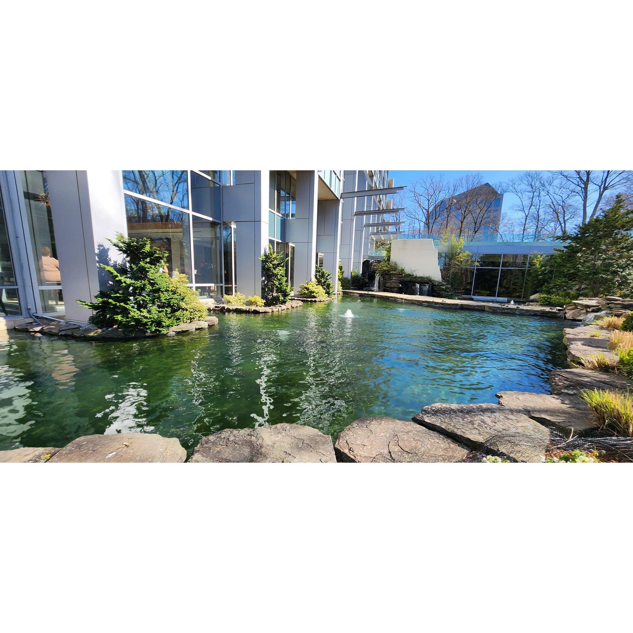 venue-koi pond