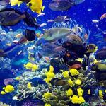 Long Island Aquarium