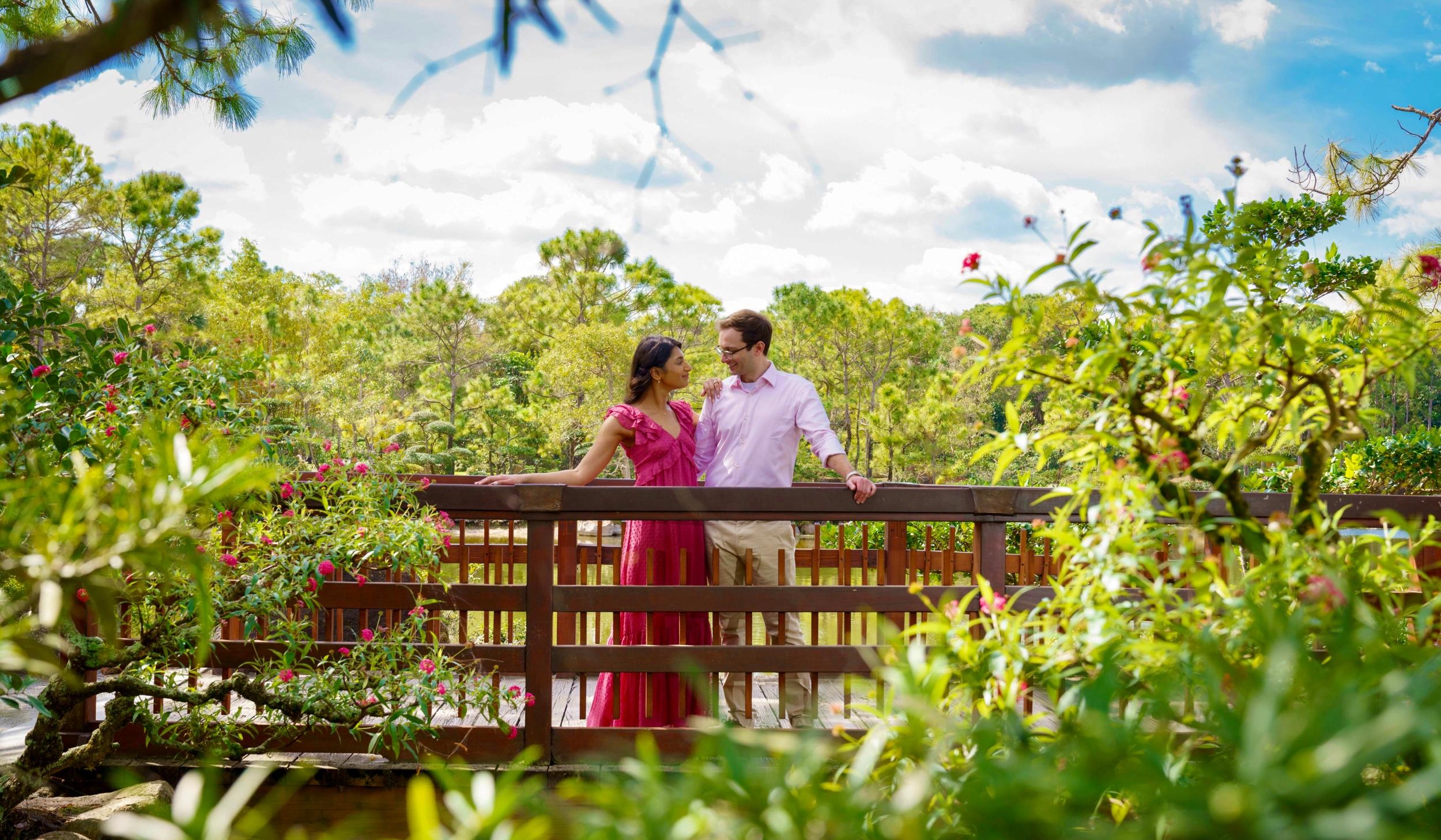 The Wedding Website of Ashita Mittal and David Mendel