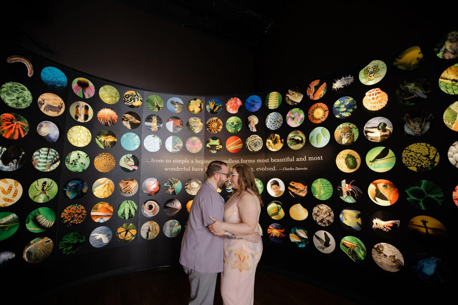 The Wedding Website of Megan Amidei and Daniel Marsala