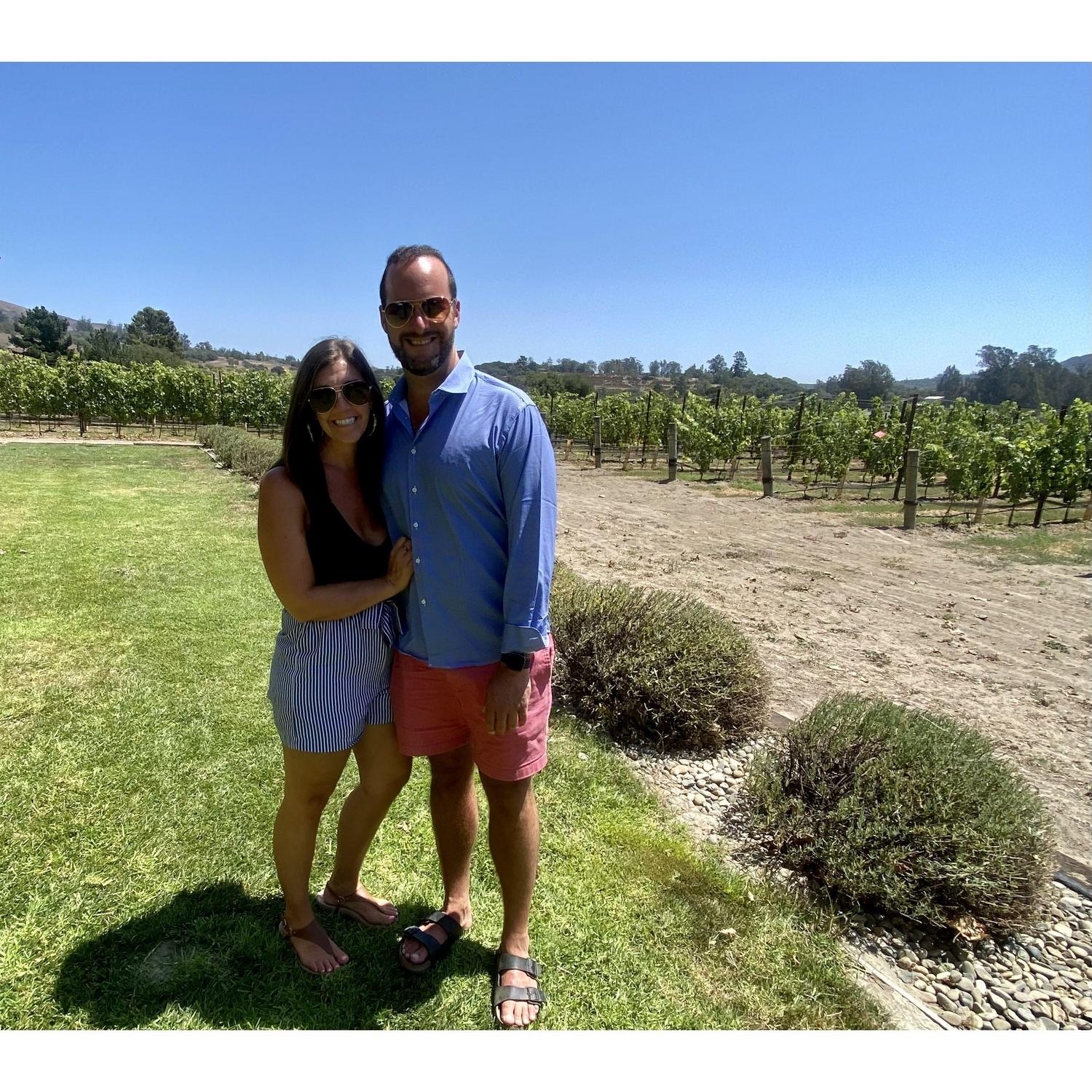 Melville Vineyards