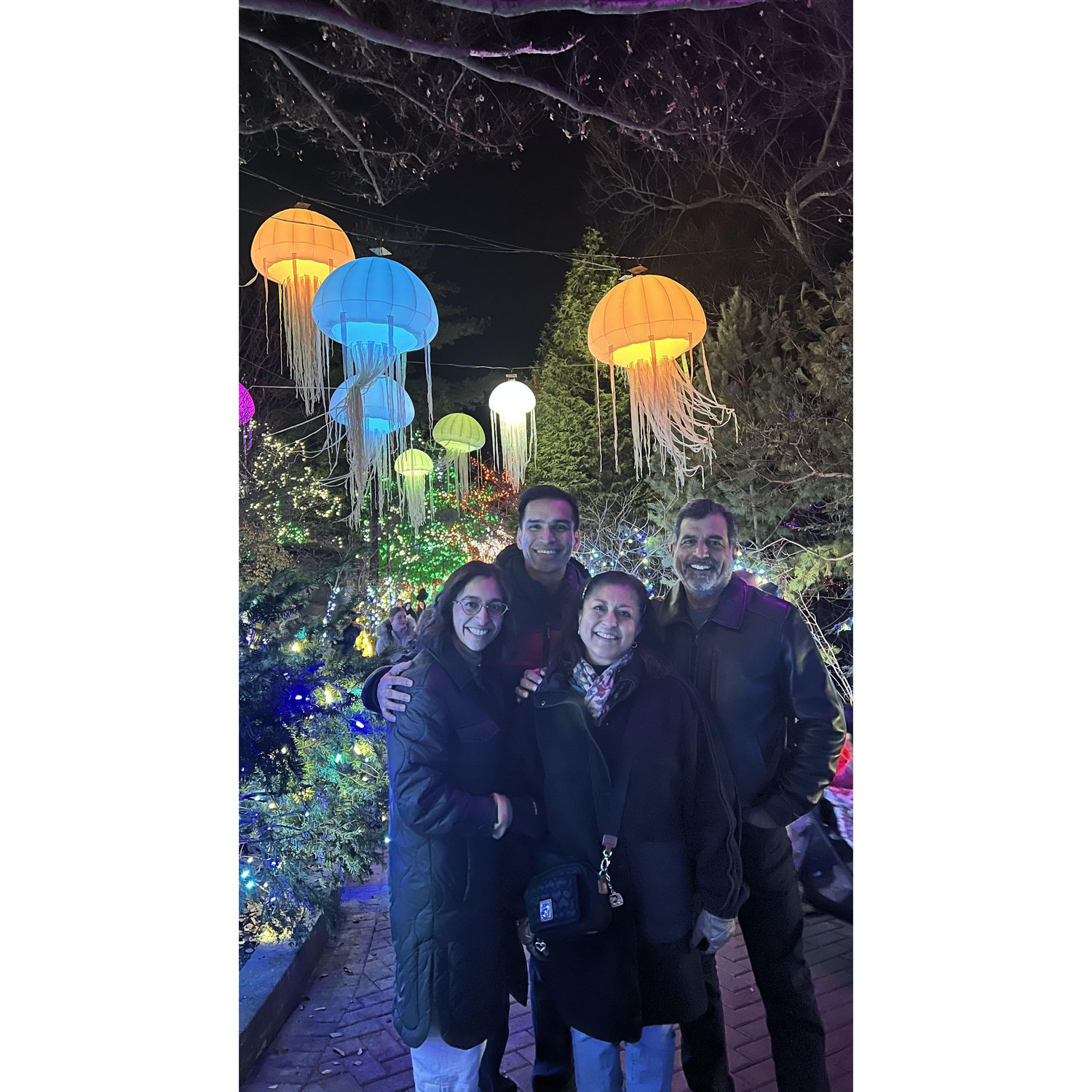 Cincinnati Festival of Lights 2023
