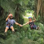 Ziplining in the Jungle