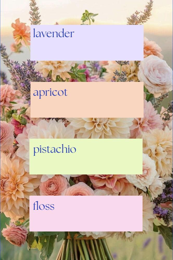 The Wedding Website of Elise Watkins and Maxwell Russo