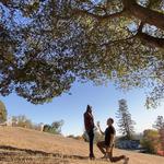 Gundlach Bundschu Winery