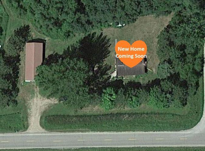 2b201a0a-b696-4ad0-afd8-ffb4a8b25be4