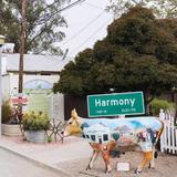 Harmony