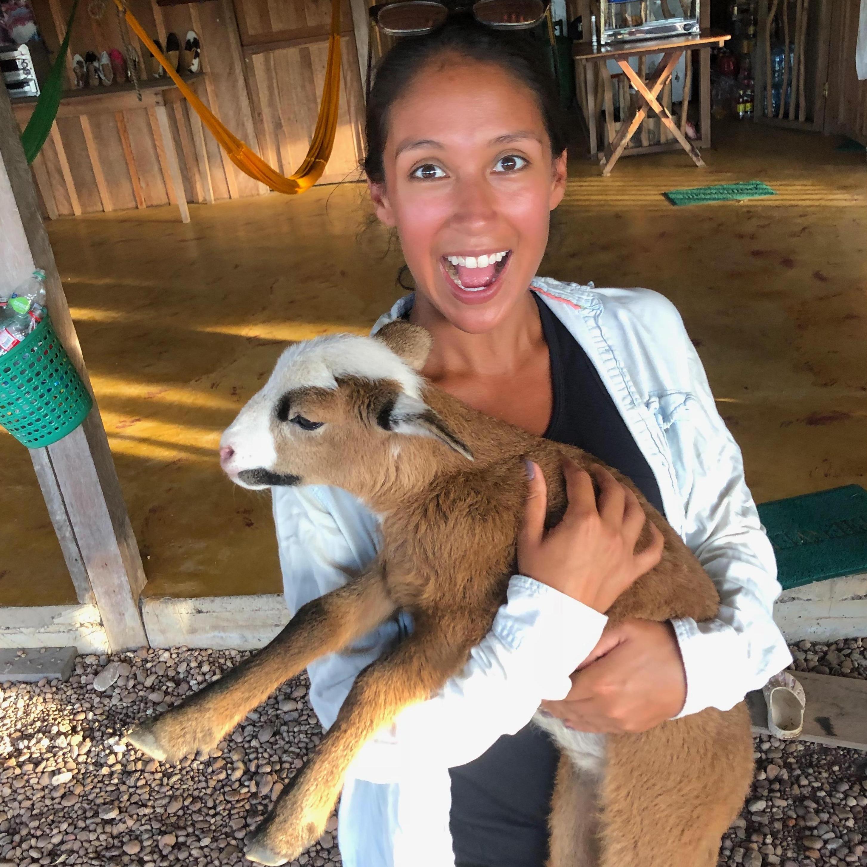 Baby Goat!