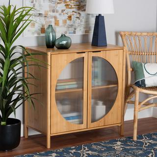 Naresh Mid-Century Modern Transitional 2-Door Storage Cabinet