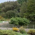 Trexler Memorial Park