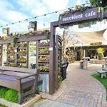 Succulent Cafe