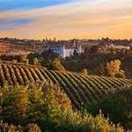 Destination Temecula Wine Tours and Experiences