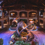 The Toledo Zoo & Aquarium