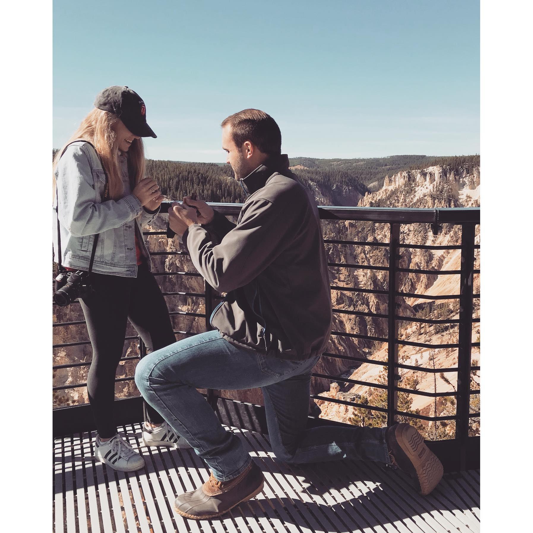Stuart proposes at the Grand Canyon of the Yellowstone.