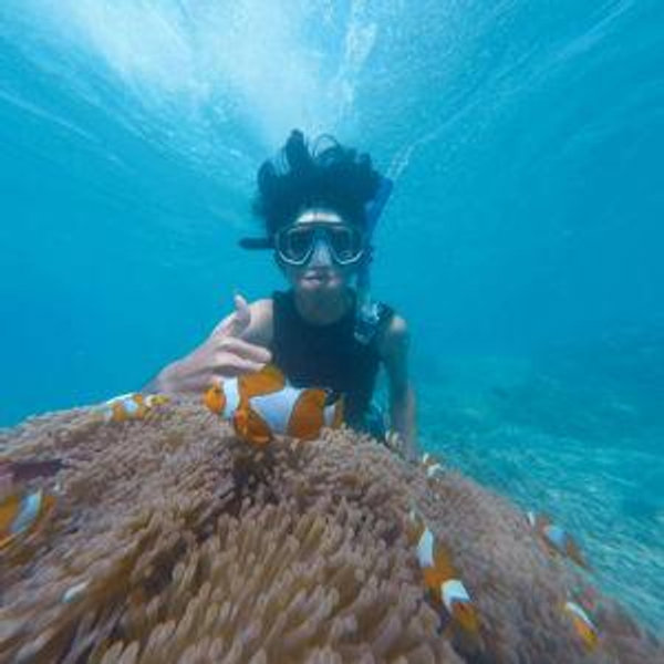 Snorkeling and Wildlife Tour