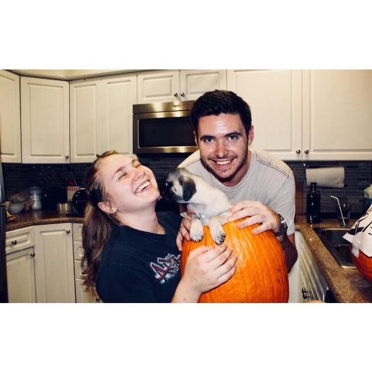 Pumpkin carving 2017