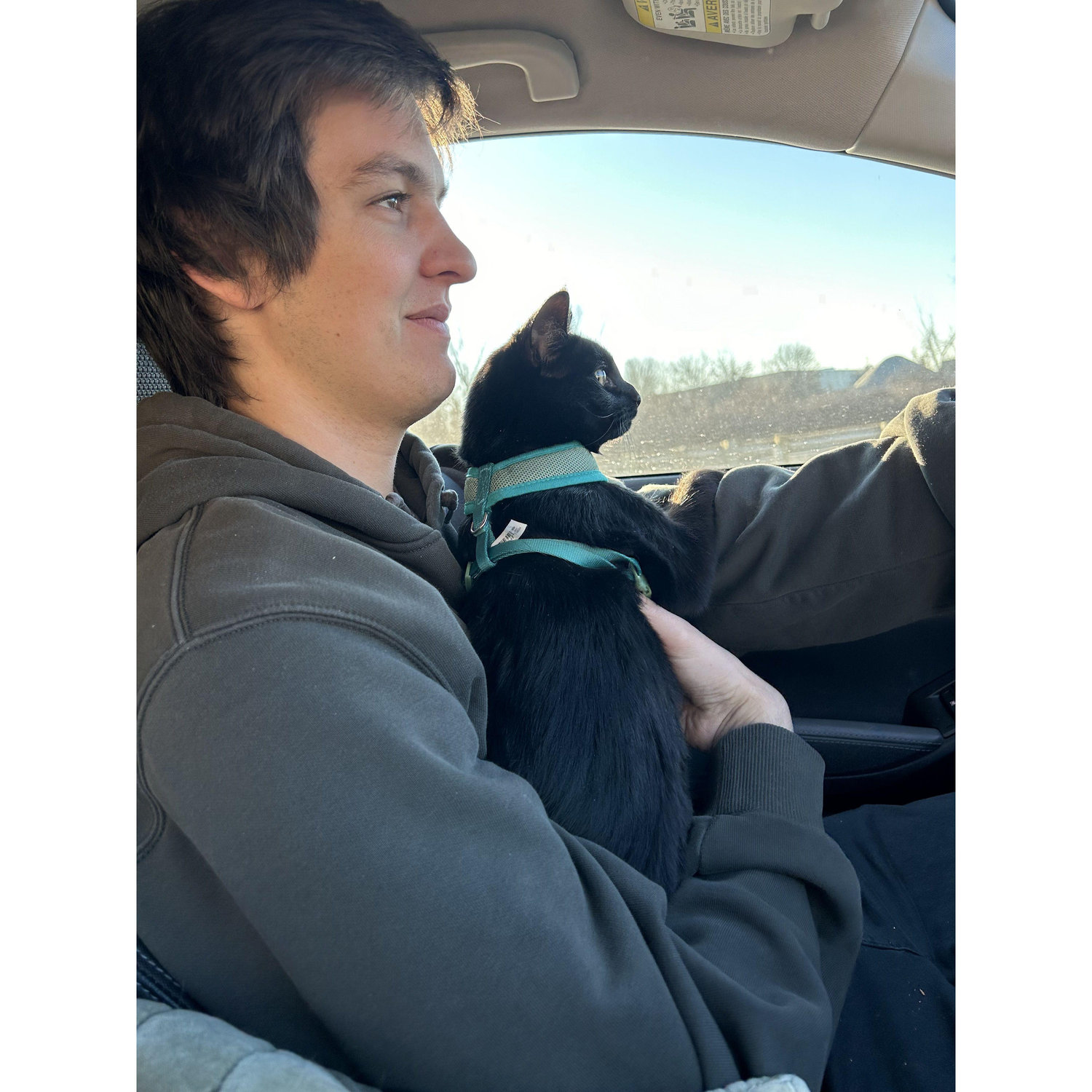 Traveling with Bean