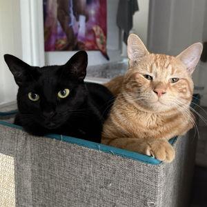 Our Family Fund