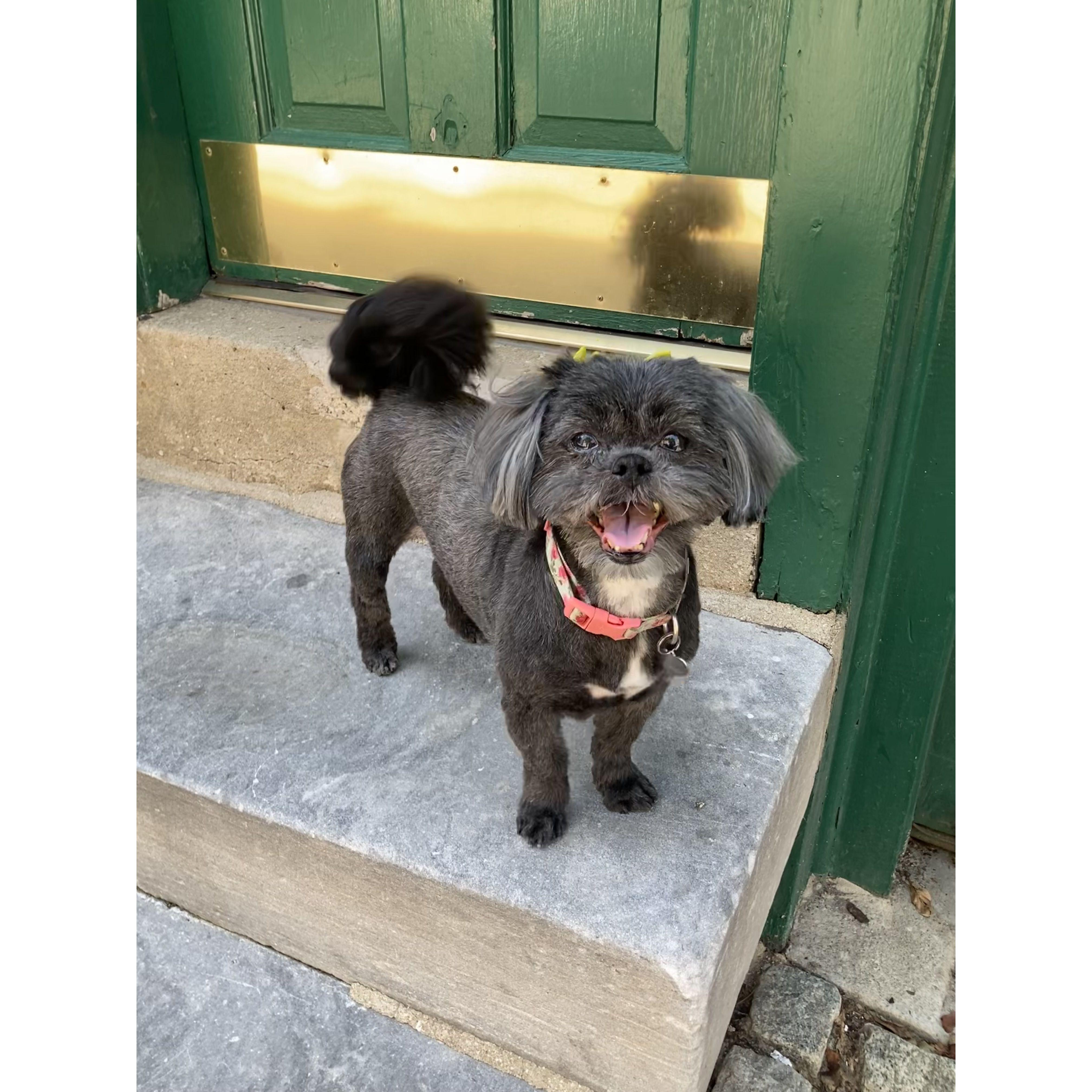 Lucy Feldman soon to be Lucy Brackman