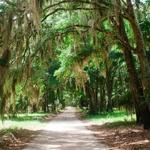 Dafuski Island Tours