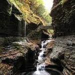 Watkins Glen State Park