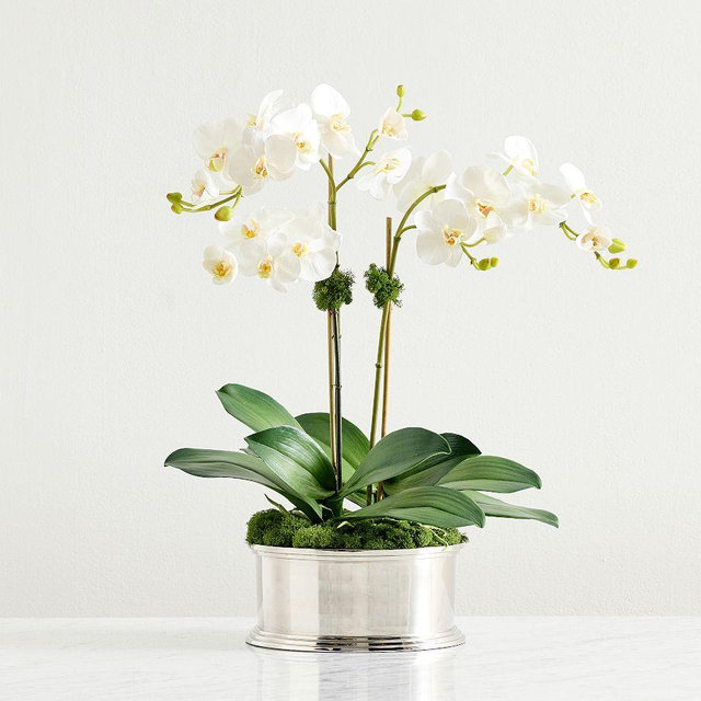 Brandon Maxwell Orchid Arrangement