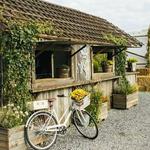 Rose Hill Vineyards & Inn