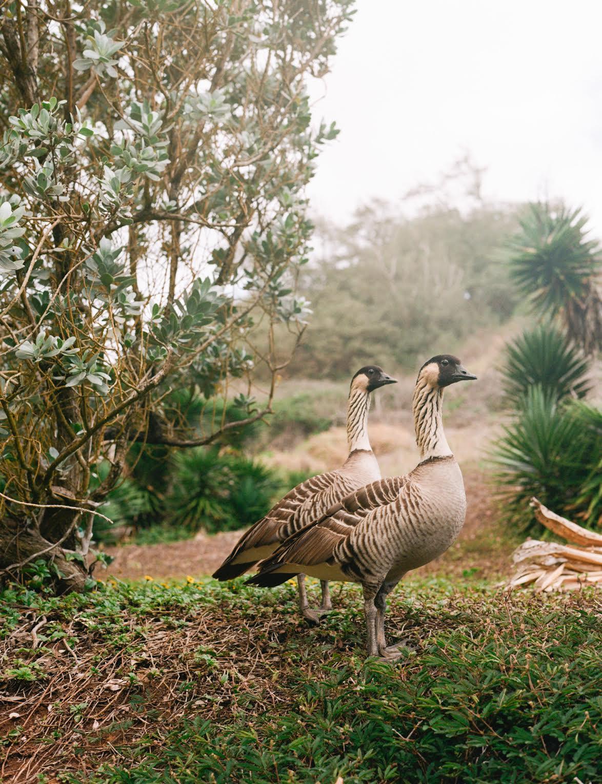 The Wedding Website of Chelsea Reid and Reed Sufrin