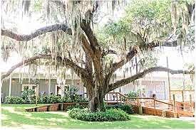 The Wedding Website of jessica mahan and david reyna