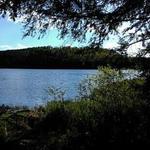 Hills Creek State Park