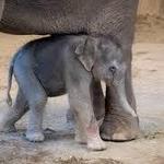 Oregon Zoo