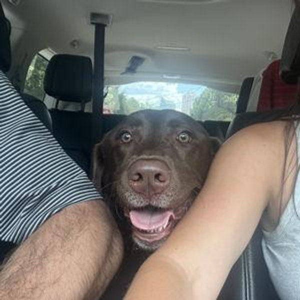 Samson Needs a Brother Fund!