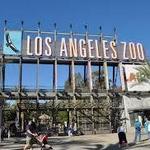 Los Angeles Zoo
