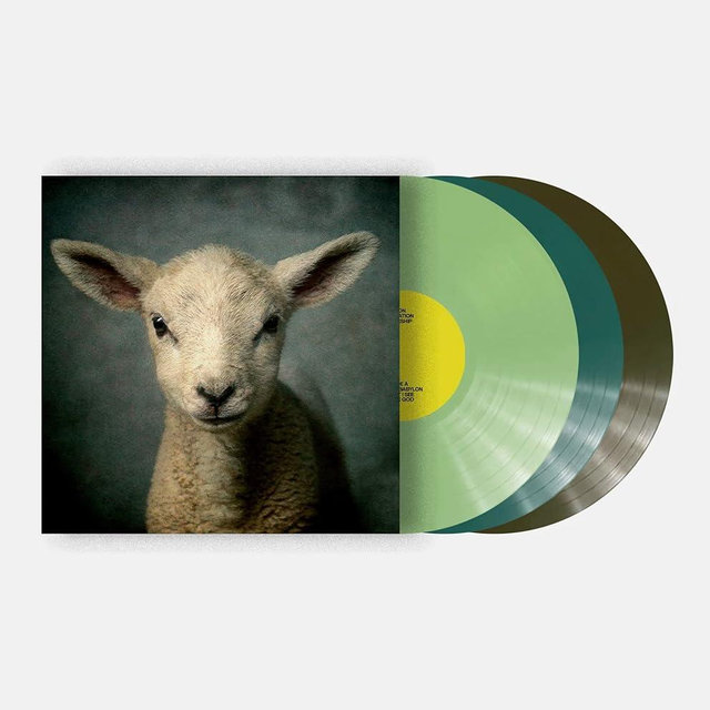 Elevation Worship - Lion Exclusive Green Blue Olive